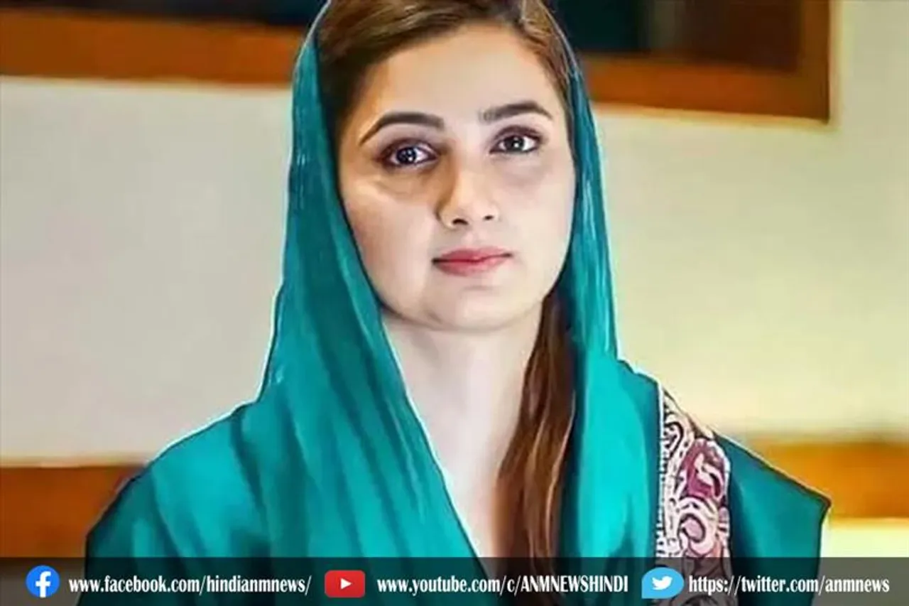 पाकिस्तानी विधायक का वीडियो वायरल, एक व्यक्ति गिरफ्तार