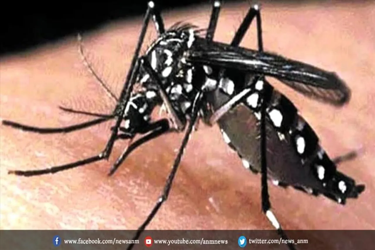 मच्छर कुछ लोगों को क्यों काटते हैं ज्यादा