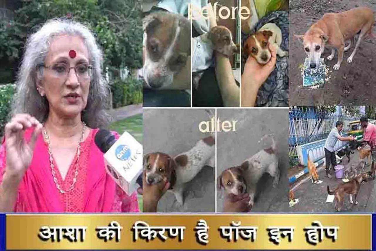 आशा की किरण है पॉज इन होप
