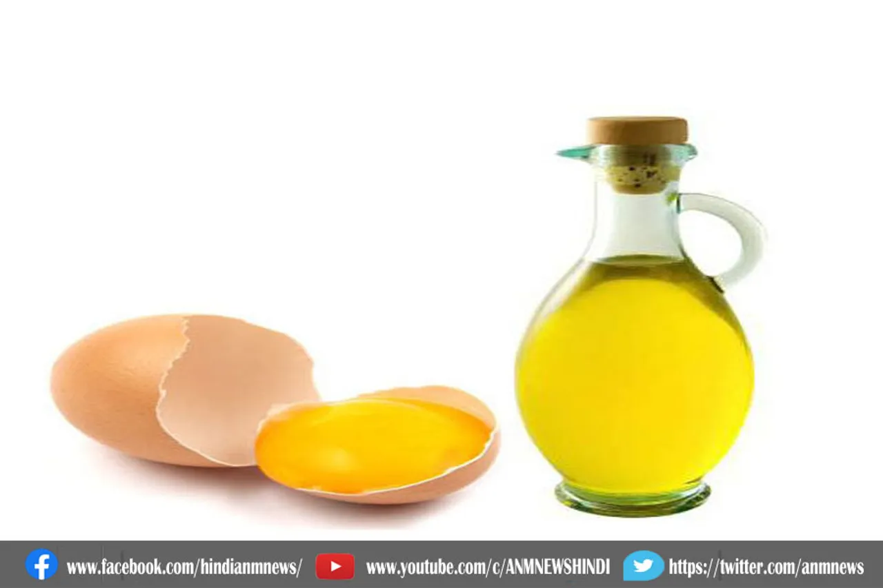 बालों के लिए है फायदेमंद अंडे का तेल
