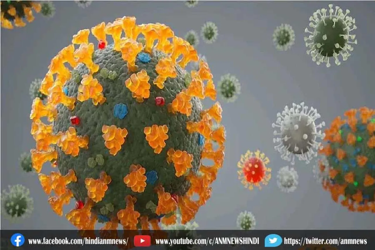 NeoCov वायरस इंसानों में फैलने का कोई खतरा नहीं