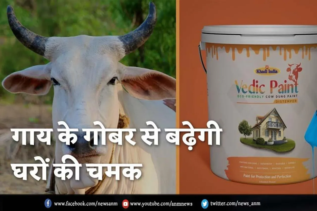 गाय के गोबर से बढ़ेगी घर की चमक