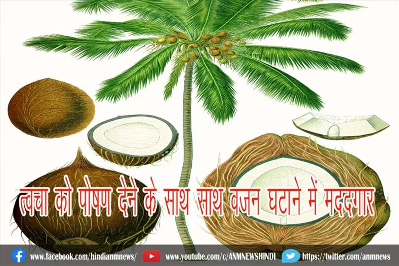 त्वचा को पोषण देने के साथ साथ वजन घटाने में मददगार