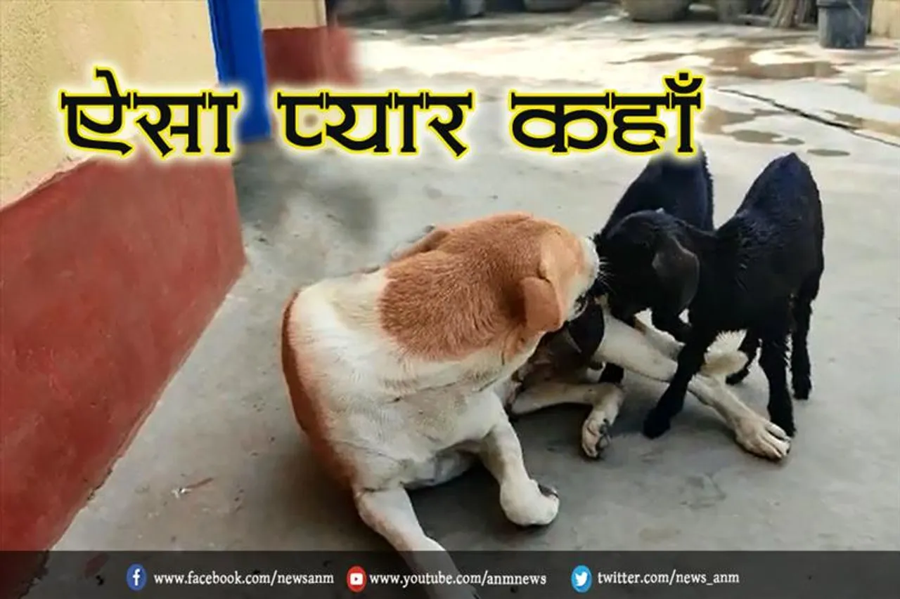 ऐसा प्यार कहाँ, देखिये वीडियो