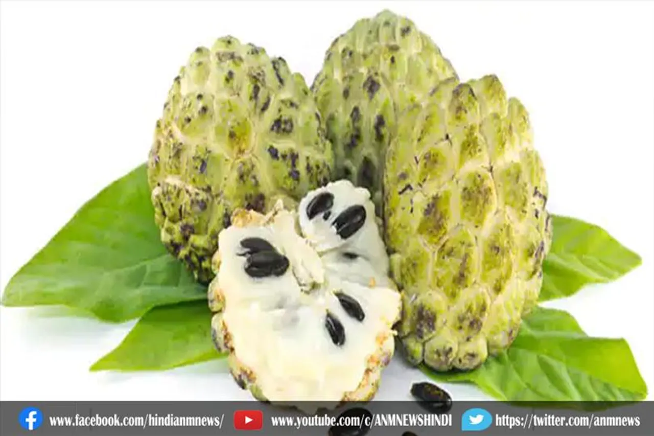 सर्दियों के मौसम में करें शरीफा का सेवन