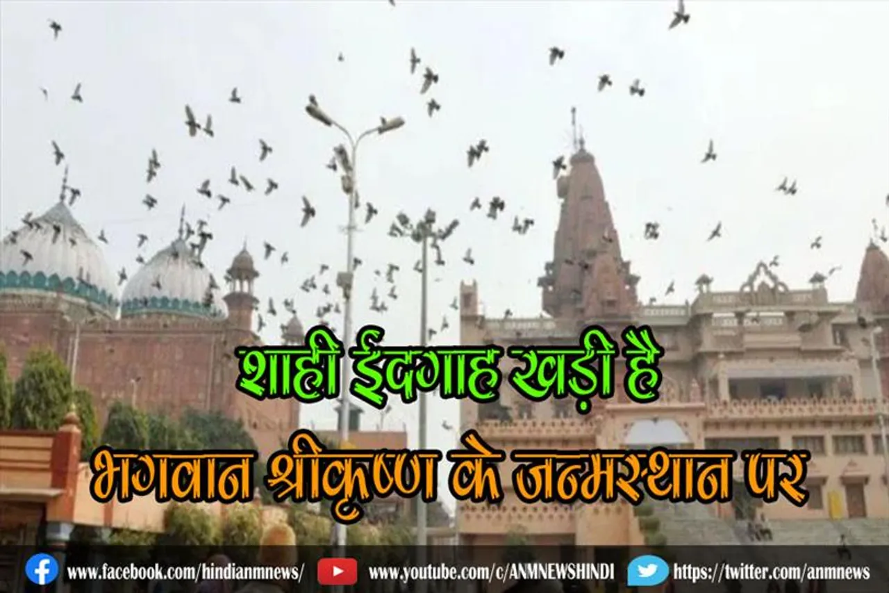 शाही ईदगाह खड़ी है भगवान श्रीकृष्ण के जन्मस्थान पर