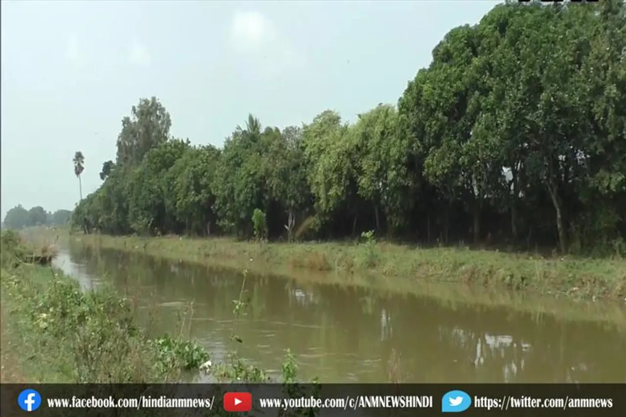 1 लाख पौधे लगाने का लक्ष्य