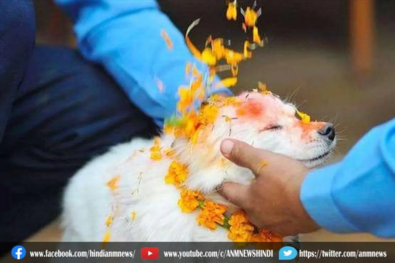 अनोखी दिवाली: यहां यम नहीं कुत्तों की होती है पूजा, जानिए क्यों