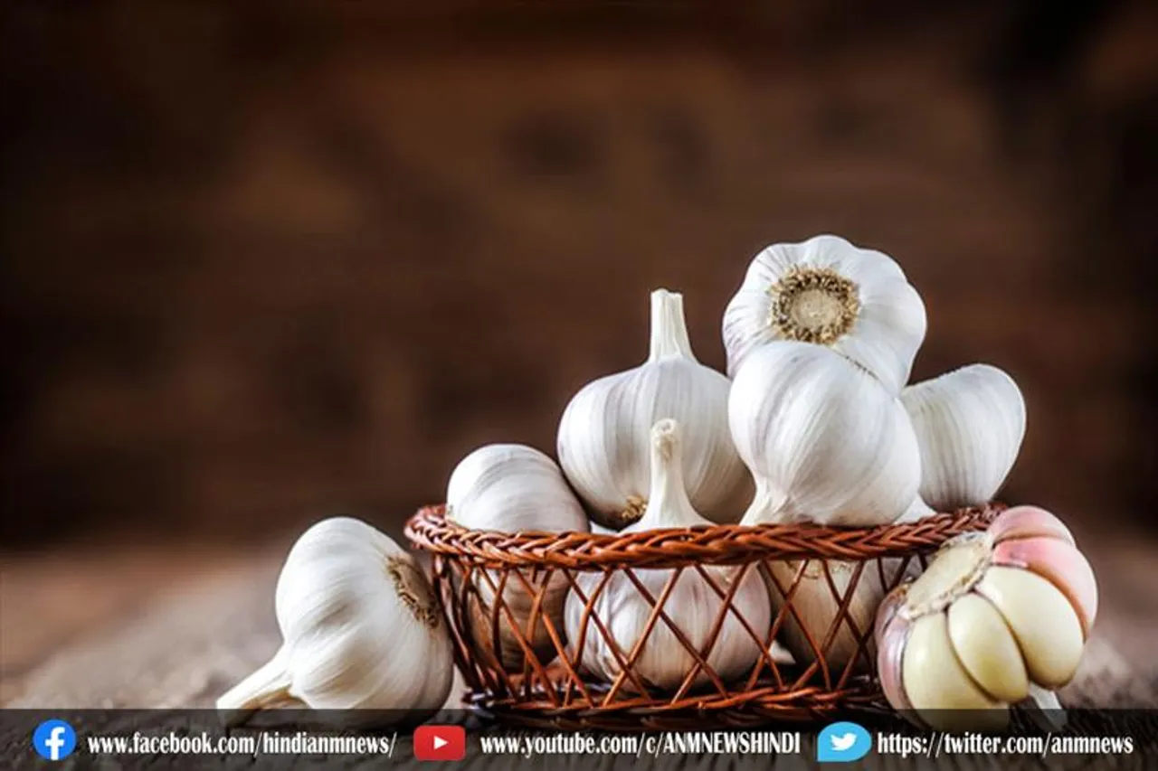 जानिए क्या सर्जरी होने से पहले लहसुन का इस्तेमाल बड़ी मात्रा में नहीं करना चाहिए