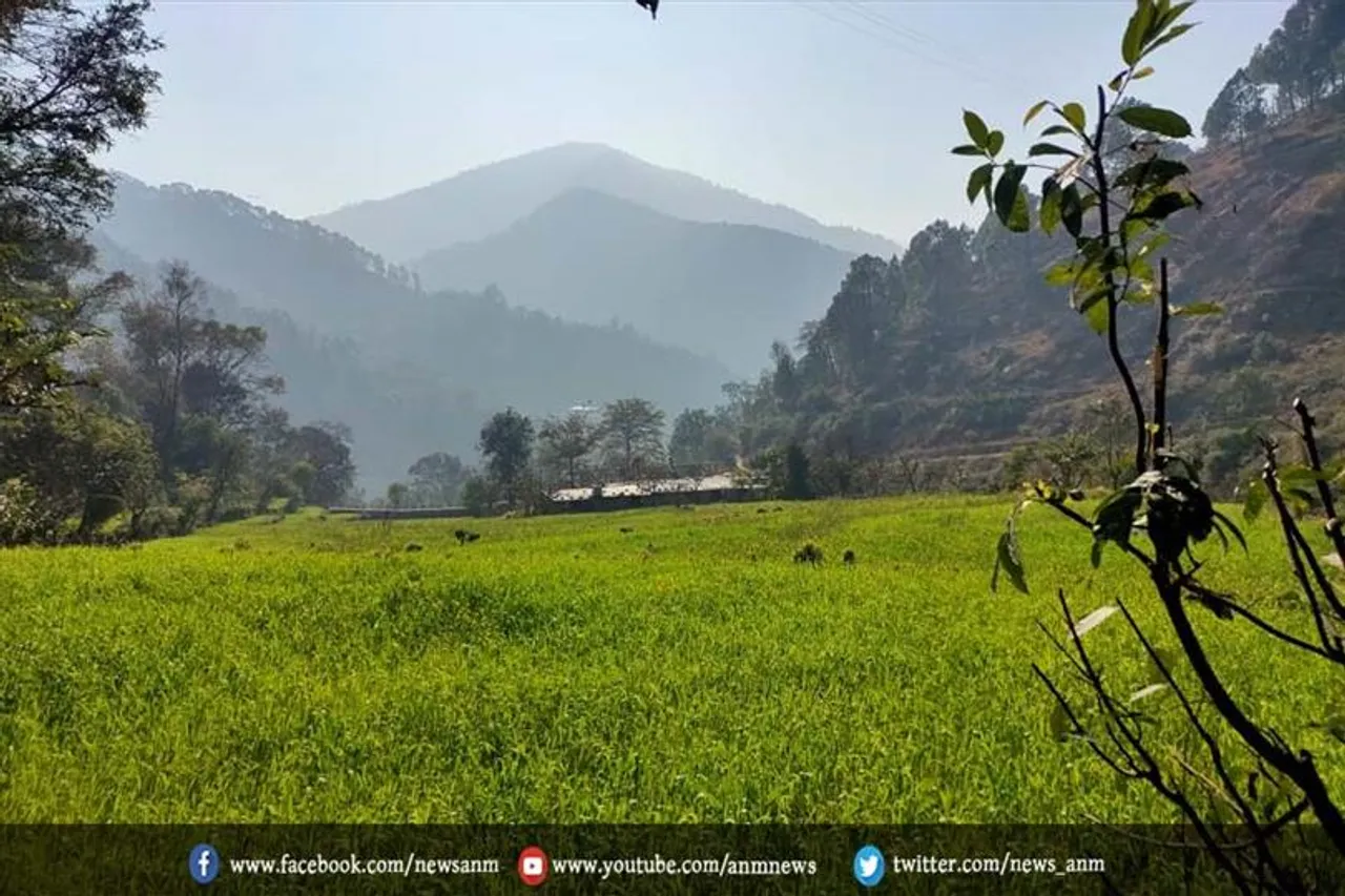 युवा वयस्कों के लिए भी करेगा हरित क्षेत्रों का आंकलन