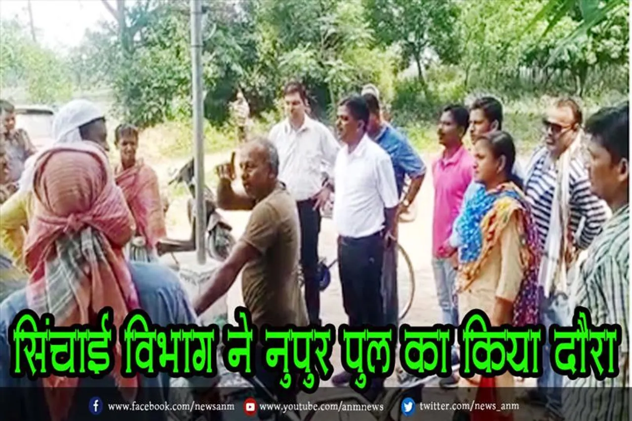 सिंचाई विभाग ने नुपुर पुल का किया दौरा
