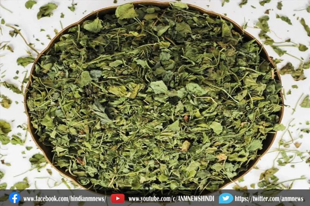 घर पर बनाएं कसूरी मेथी