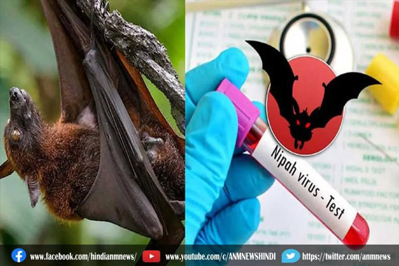 निपाह वायरस बरपा रहा है कहर