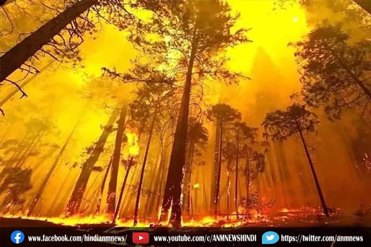 अल्जीरिया में आग में 18 सैनिकों की मौत, 13 घायल