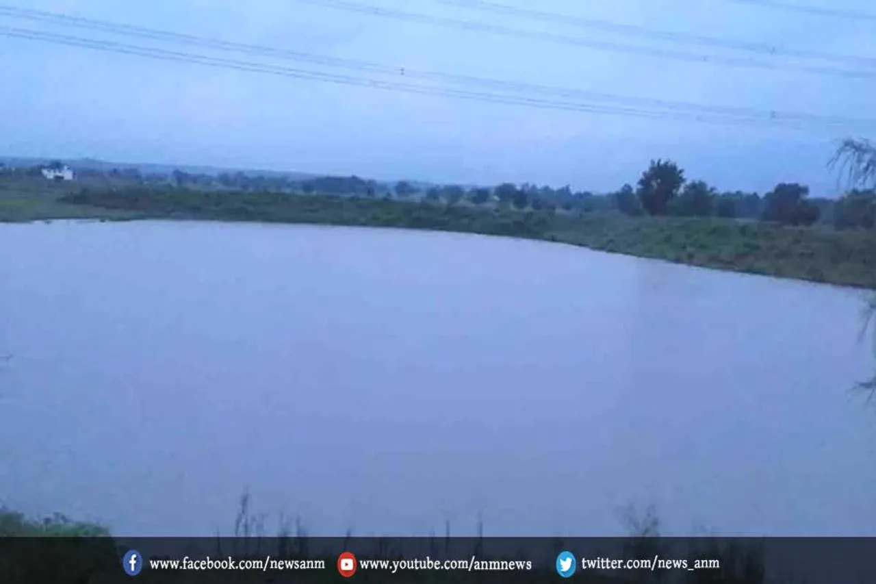 तालाब में डूबने से 11 गोवंशों की मौत