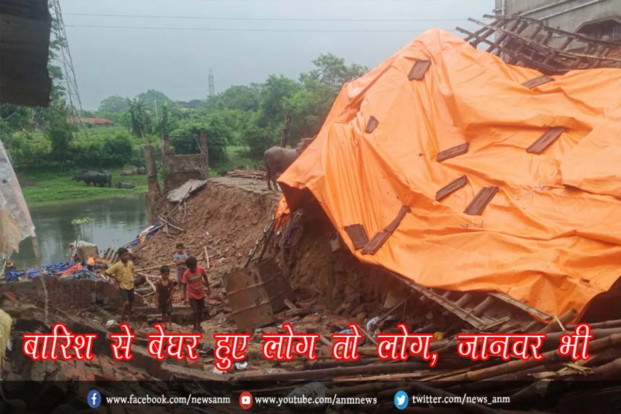 बारिश से बेघर हुए लोग तो लोग, जानवर भी
