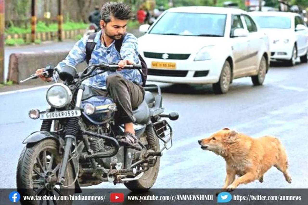 मोटरसाइकिल चलाते वक्त दौड़ते हुए भोंकने वाले कुत्ते से बचने का रास्ता