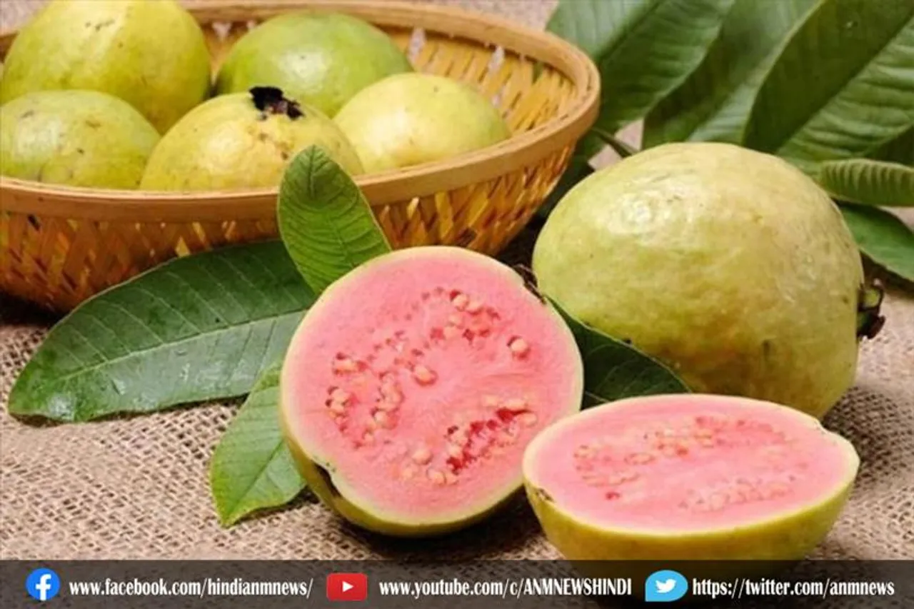 अमरूद खाने के फायदे