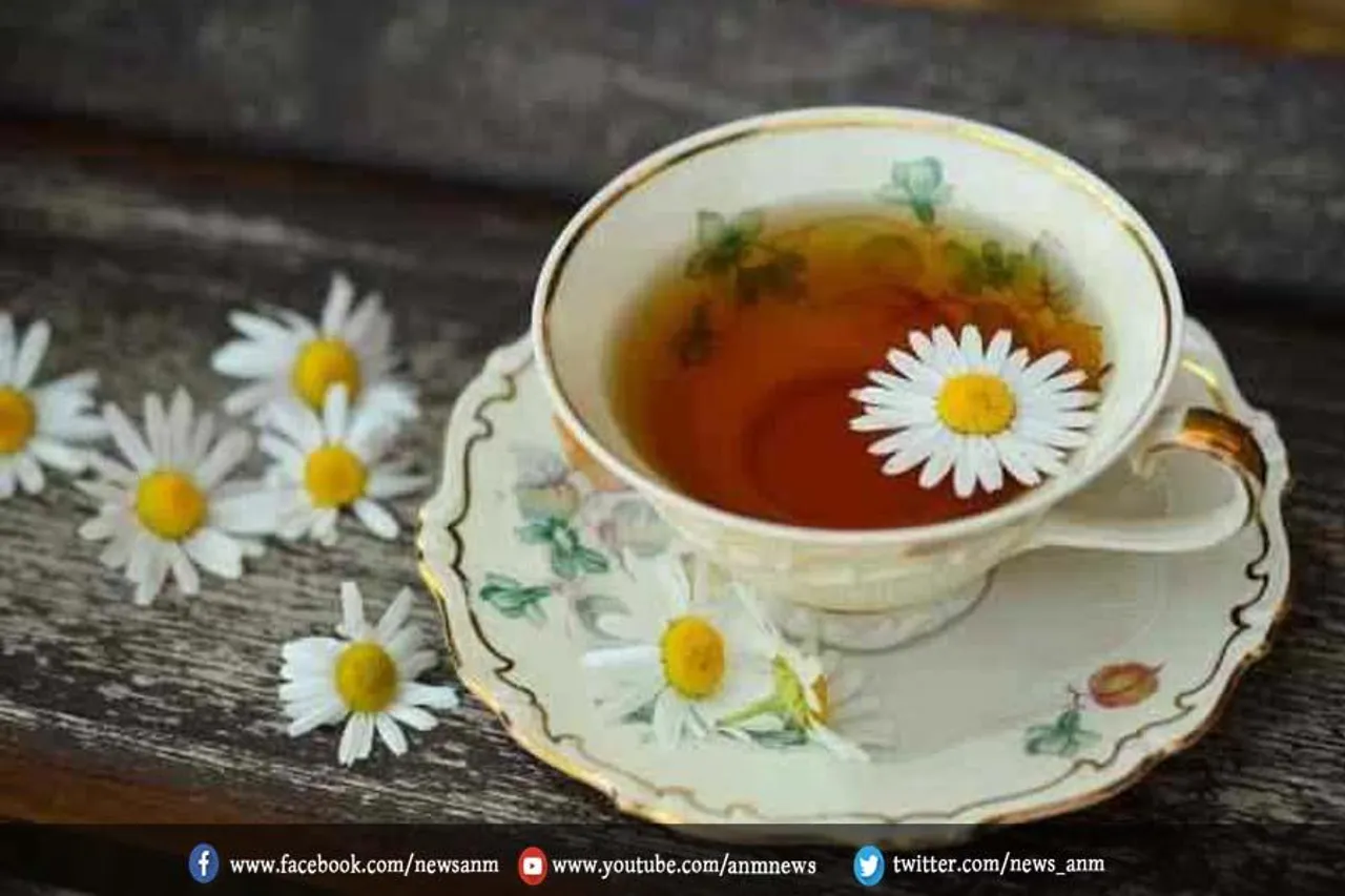 इन चाय का सेवन करने से कंट्रोल में रहेगा शुगर लेवल