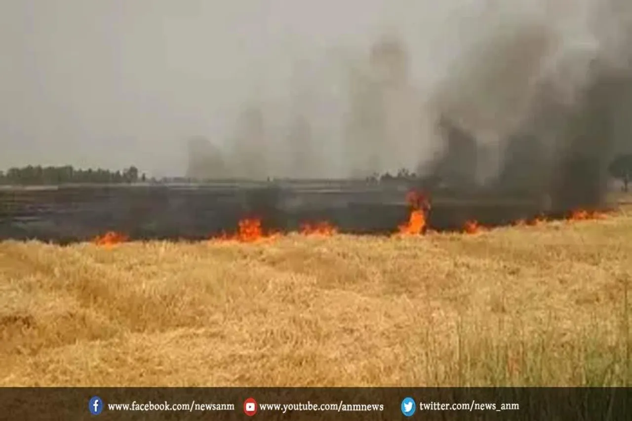 गन्ने की आठ बीघा फसल जलकर हुई राख