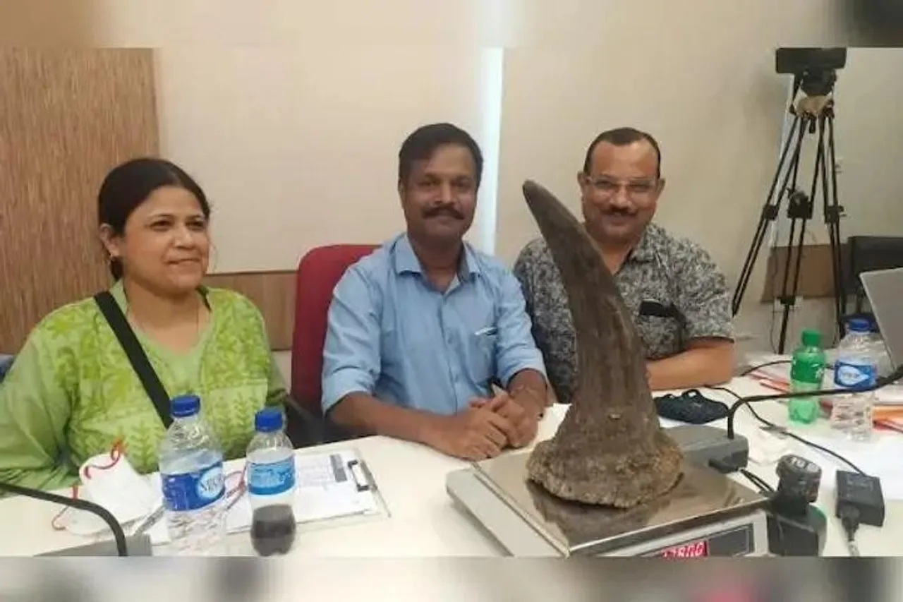 असम सरकार ने किया 2,479 गैंडे के सींगों को सार्वजनिक रूप से नष्ट करने का फैसला