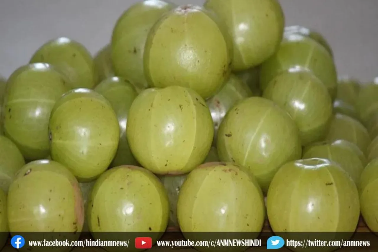 ये है आंवले को डाइट में शामिल करने के तरीके