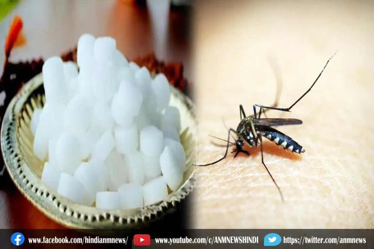 5 रुपये के कपूर से गायब होंगे मच्छर