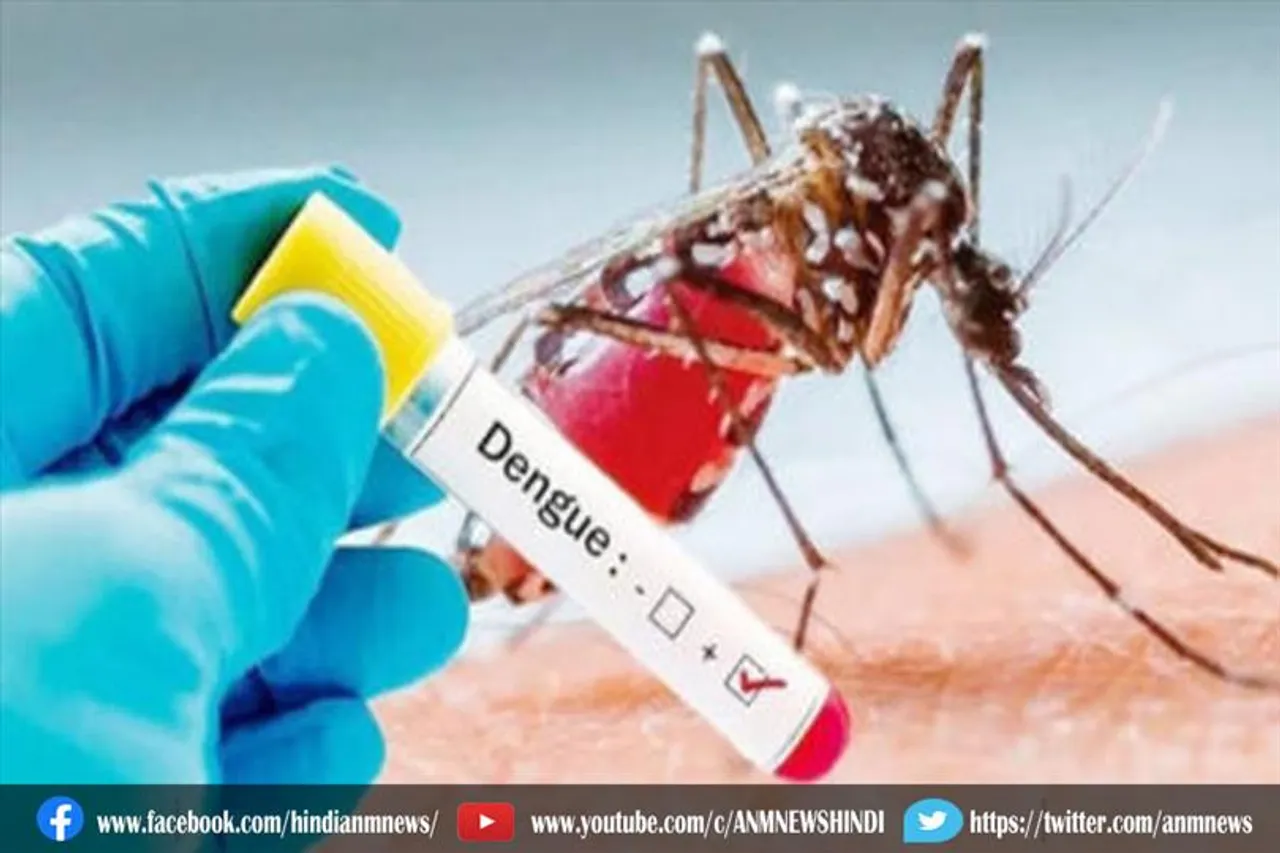 दिल्ली में आज डेंगू से पहली मौत