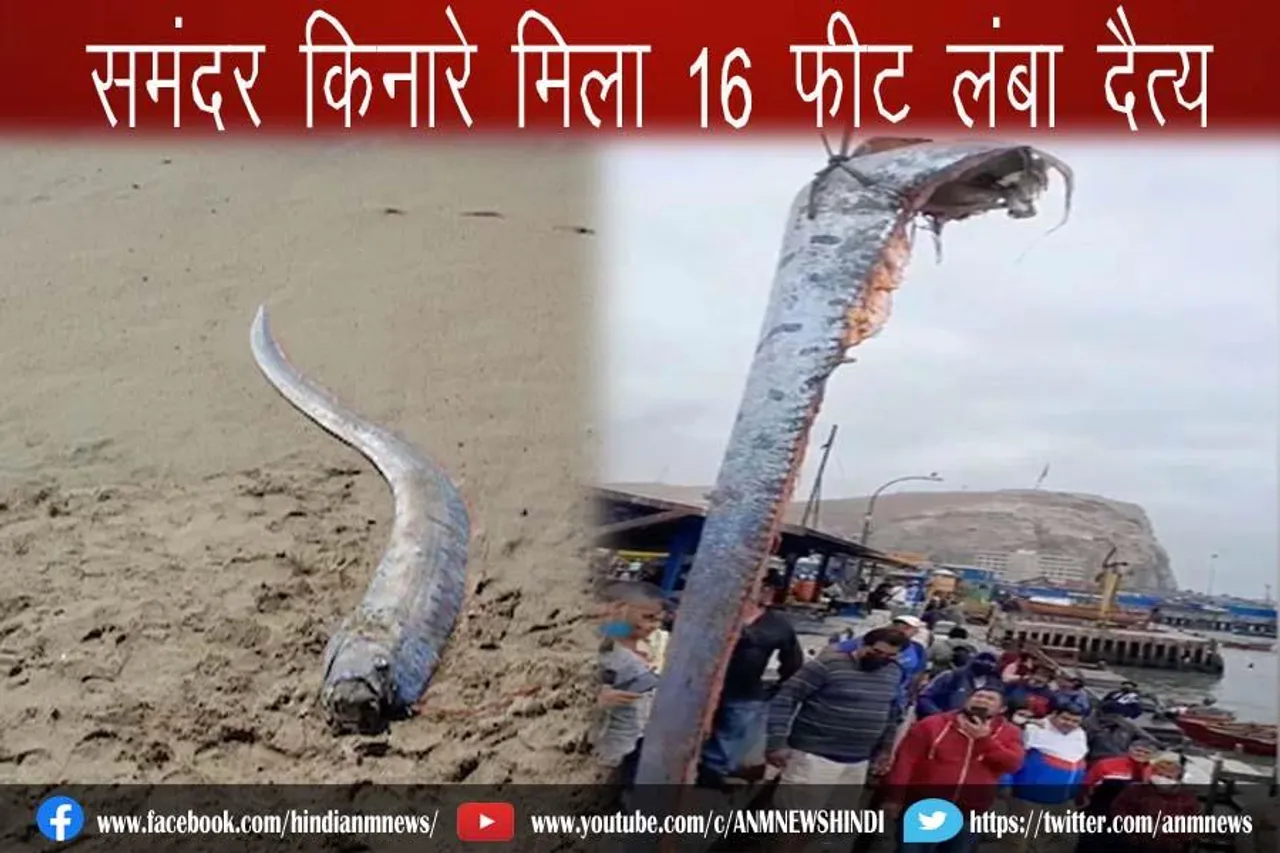 समंदर किनारे मिला 16 फीट लंबा दैत्य