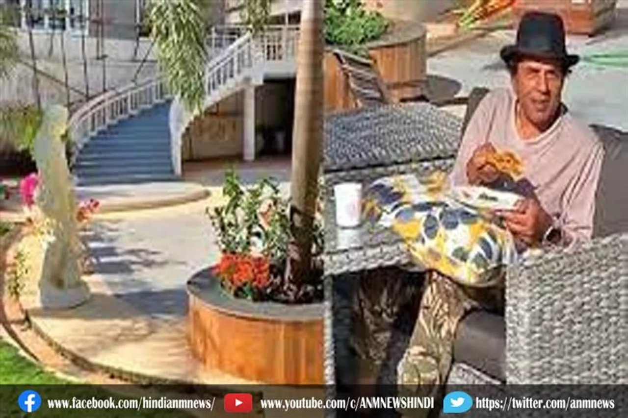 ये अभिनेता के फार्म हाउस पर मोर