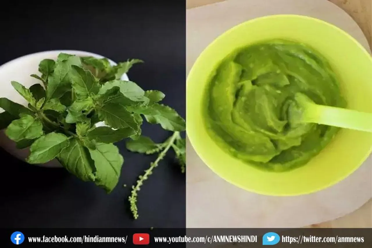 स्किन केयर के लिए ऐसे बनाए तुलसी और दही का फेस पैक