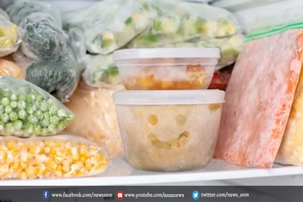 फ्रोजन फूड्स से हो सक्ता है कई नुकसान