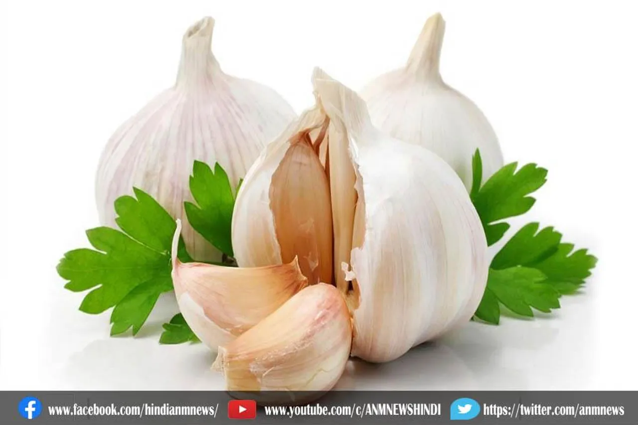 रोज सुबह खाली पेट लहसुन का सेवन करें