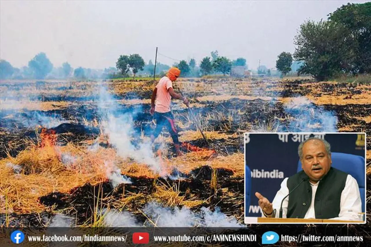 अब पराली जलाना अपराध नहीं : नरेंद्र सिंह तोमर