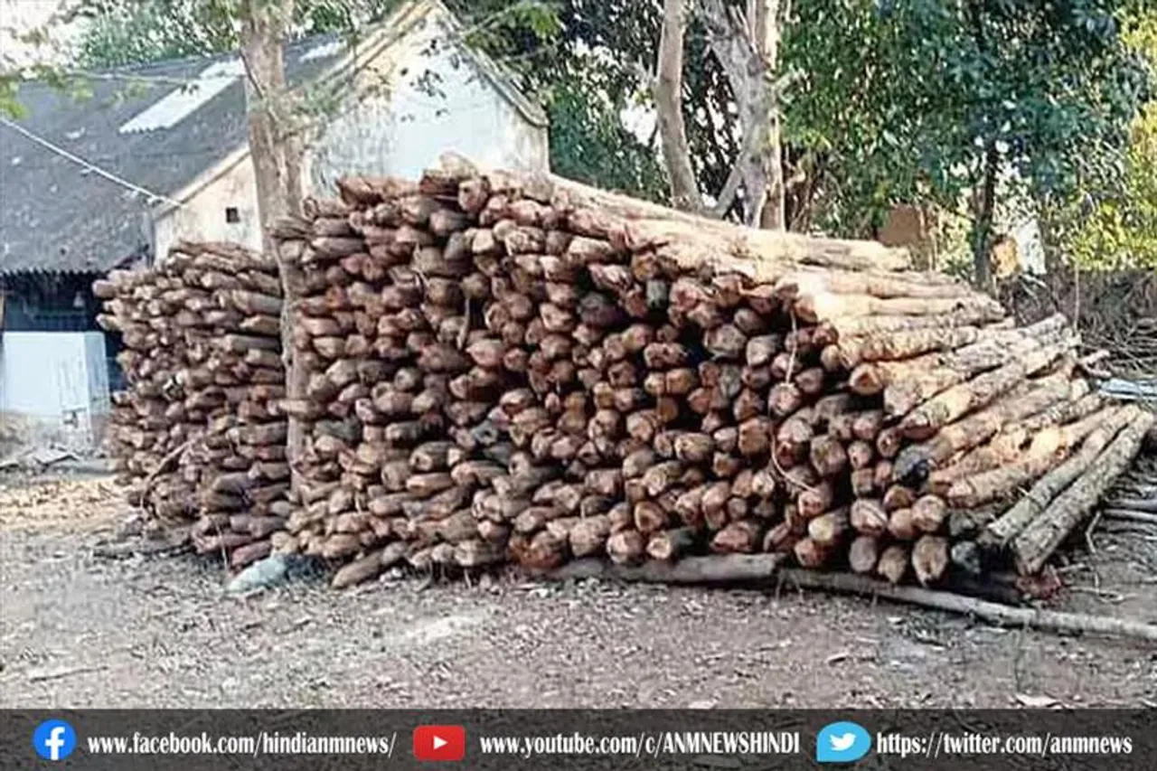 अवैध सागौन के लट्ठे जब्त, चालक गिरफ्तार