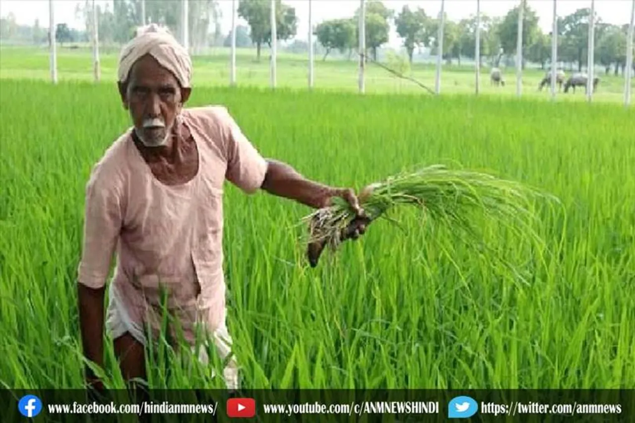 इतने हजार किसानों के अटक सकते हैं 12वीं किस्त के पैसे, पर की?