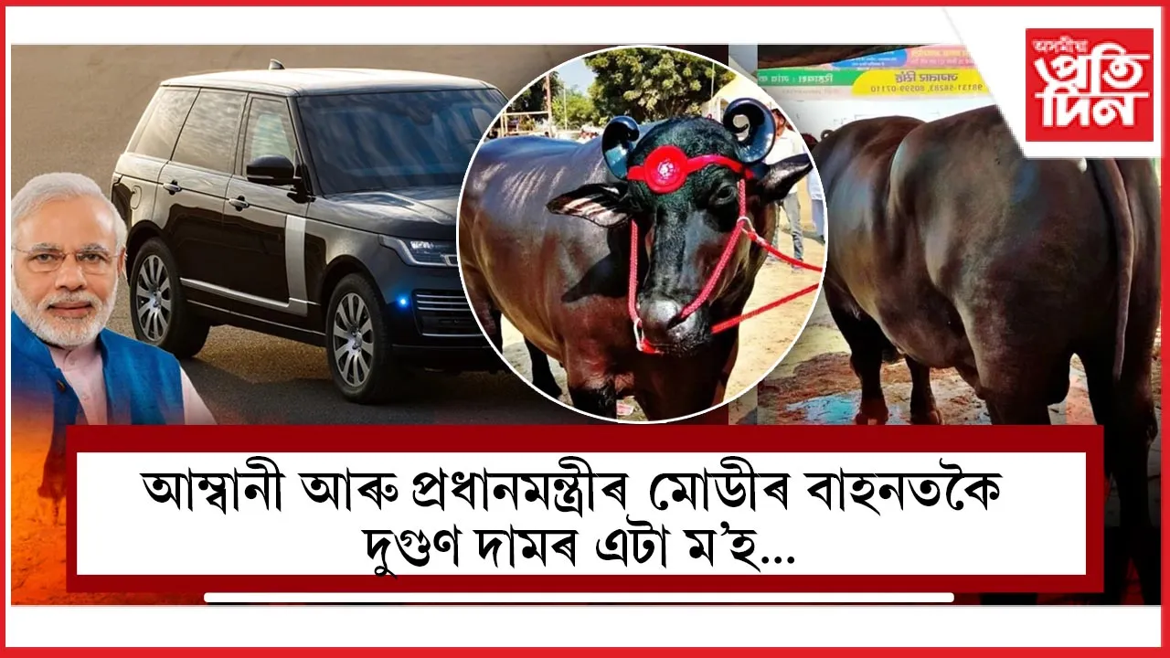 এটা মহৰ দাম ২৩কোটি