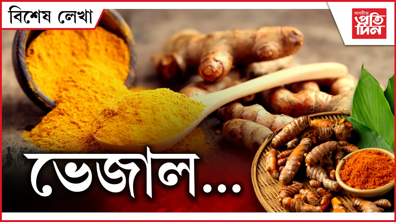 হালধি