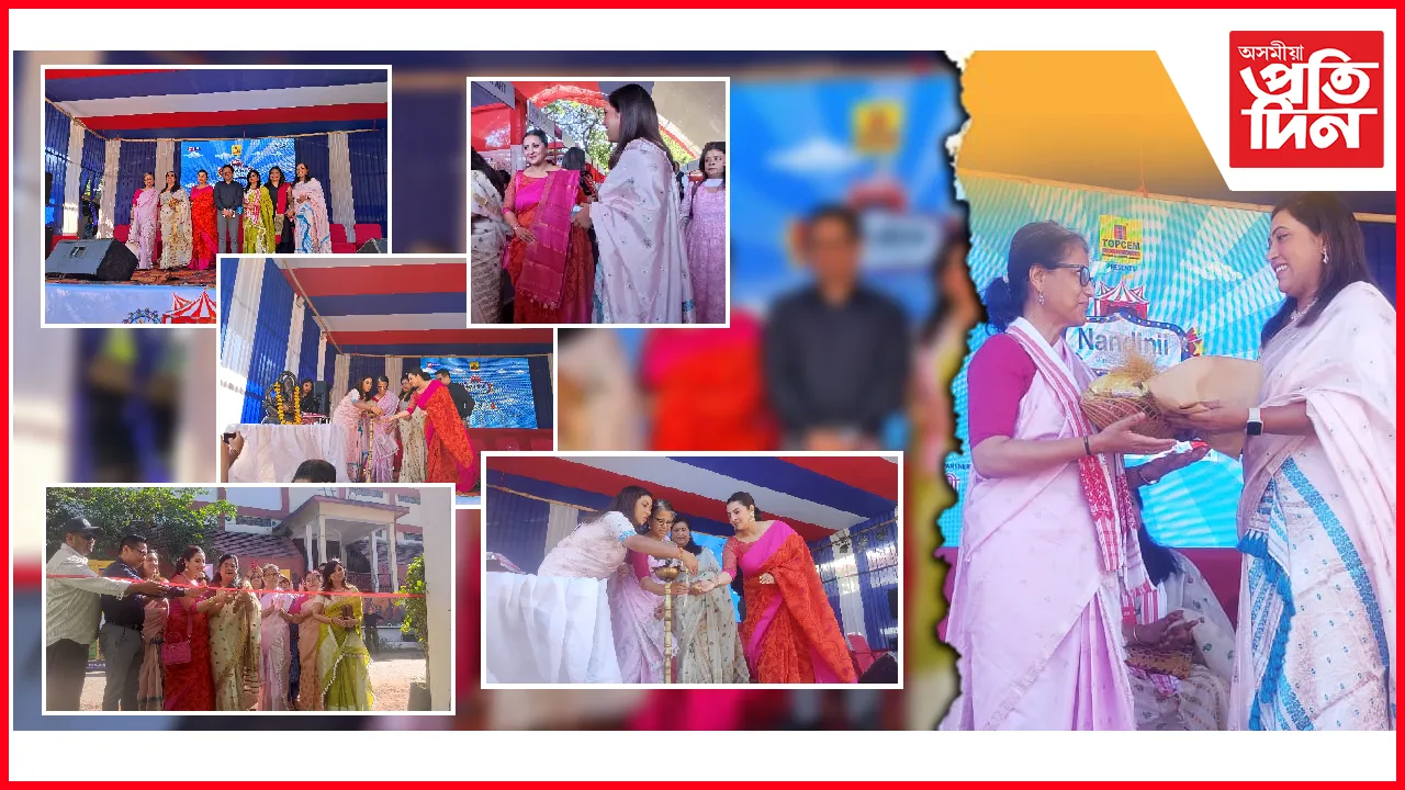 নন্দিনী উইণ্টাৰ ৱণ্ডাৰলেণ্ড