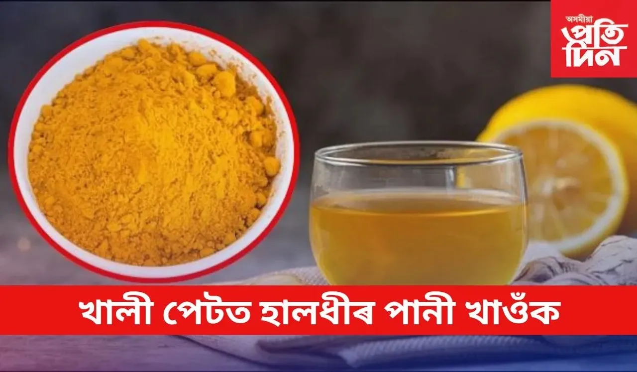 হালধী