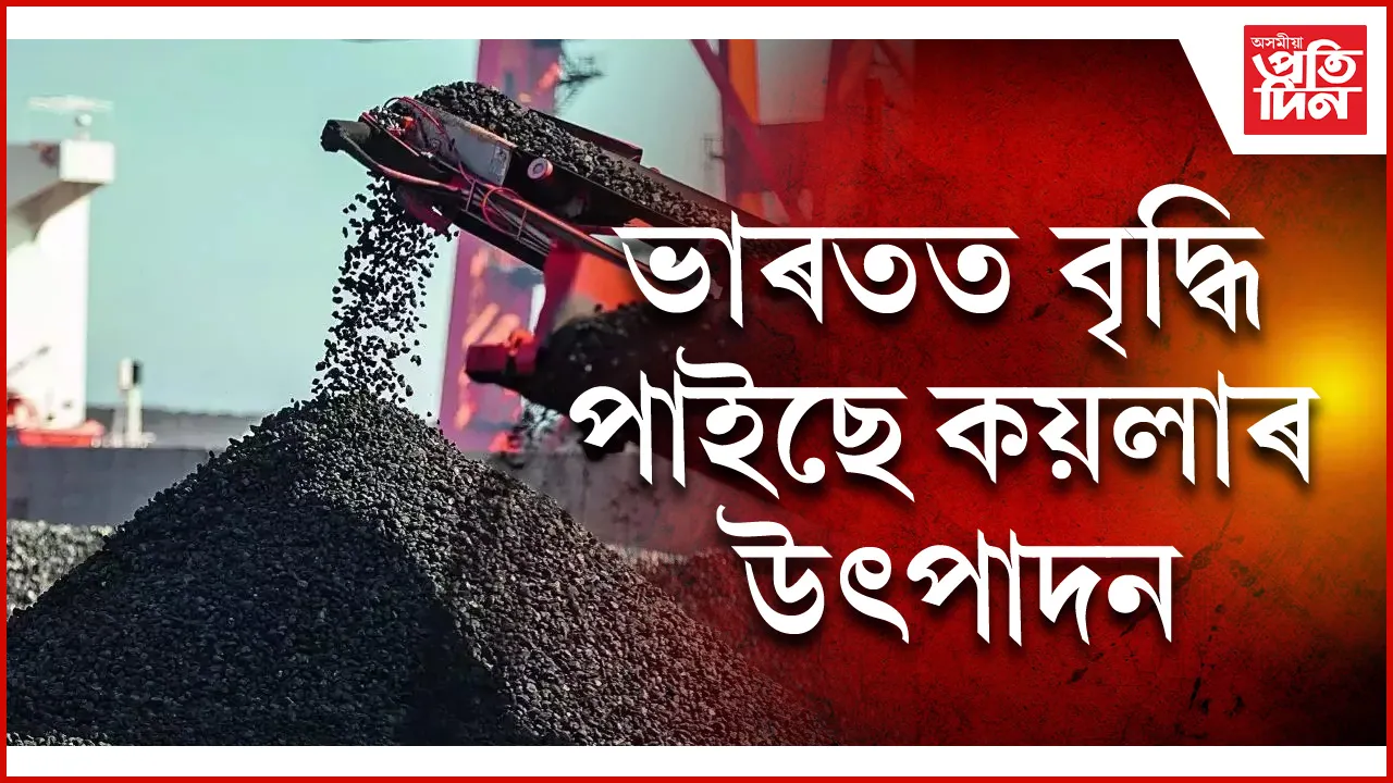 koyla 