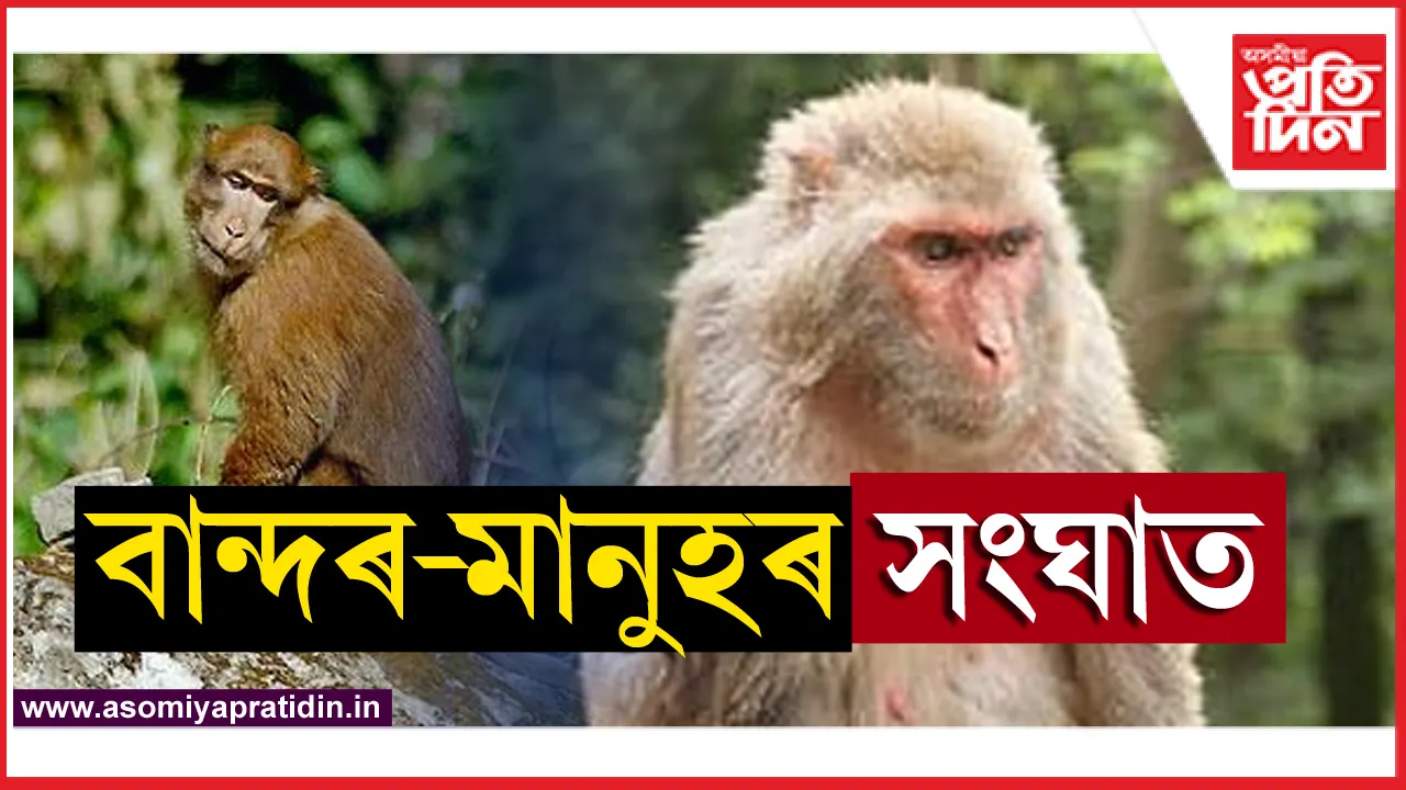 ককক