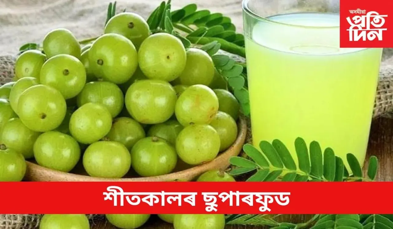 আমলখি