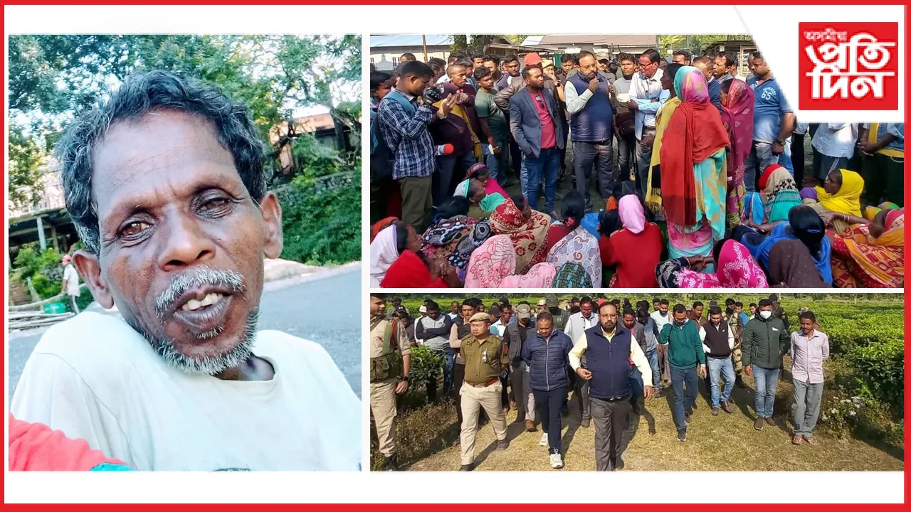 কলিয়াবৰত বাঘে ভক্ষণ কৰিলে শ্ৰমিককঃ ছিন্ন-ভিন্ন মুণ্ড উদ্ধাৰ...