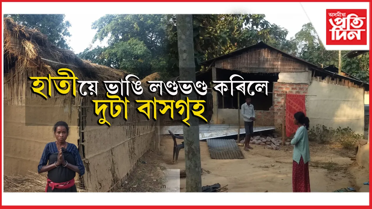 বছৰটোৰ শেষতো অব্যাহত বনৰীয়া হাতীৰ উপদ্ৰৱঃ কথমপি ৰক্ষা দুট পৰিয়াল...