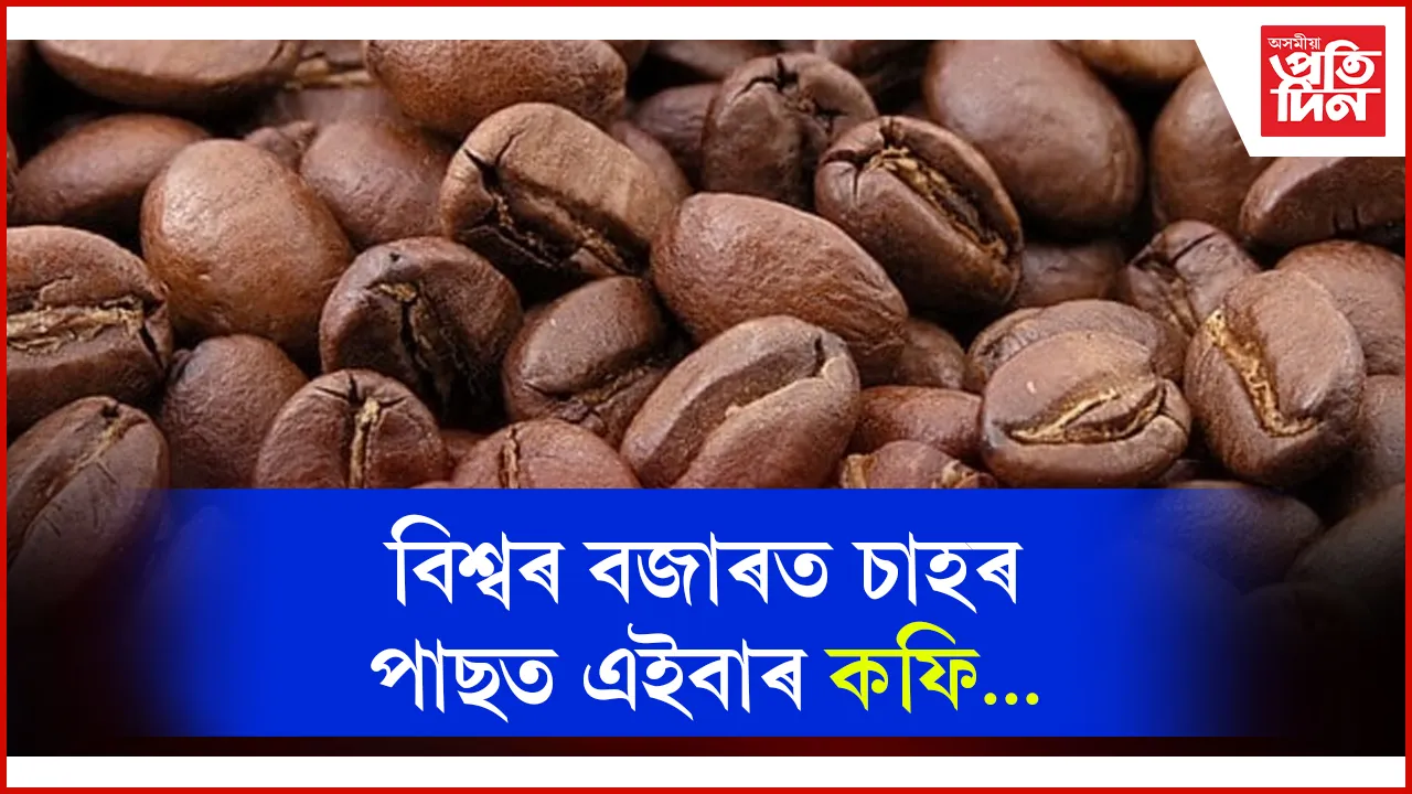 কফি