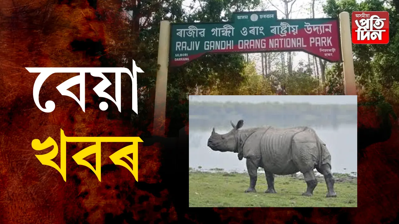 ওৰাং ৰাষ্ট্ৰীয় উদ্যানত বেয়া খবৰ। 