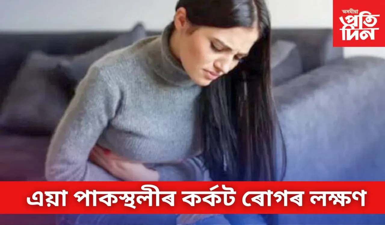 পেট