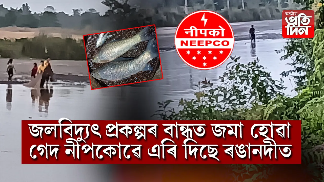 জলবিদ্যুৎ প্ৰকল্পৰ বান্ধত জমা হোৱা গেদ নীপকোৱে এৰি দিছে ৰঙানদীত