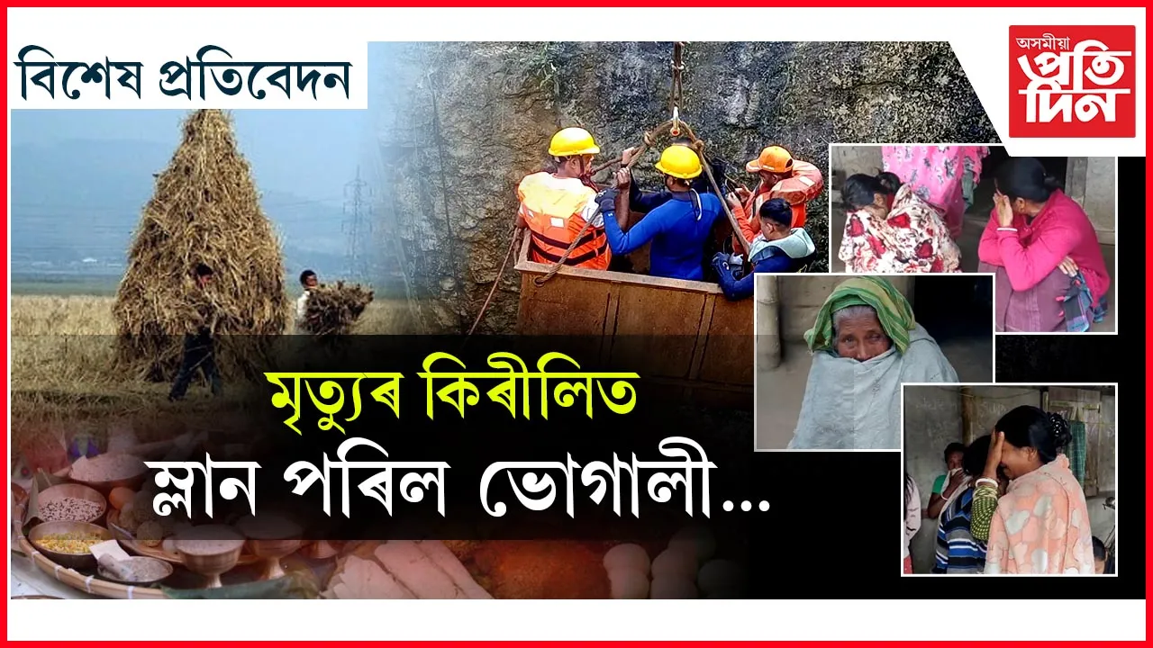 িমংমংমং